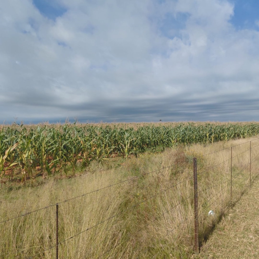 Commercial Property for Sale in Bainsvlei Free State
